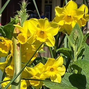 Meet your Posher, Lindsay